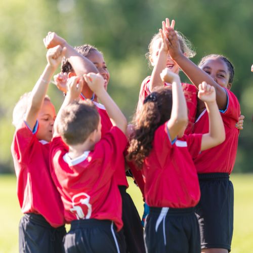 Sports Teams and Clubs